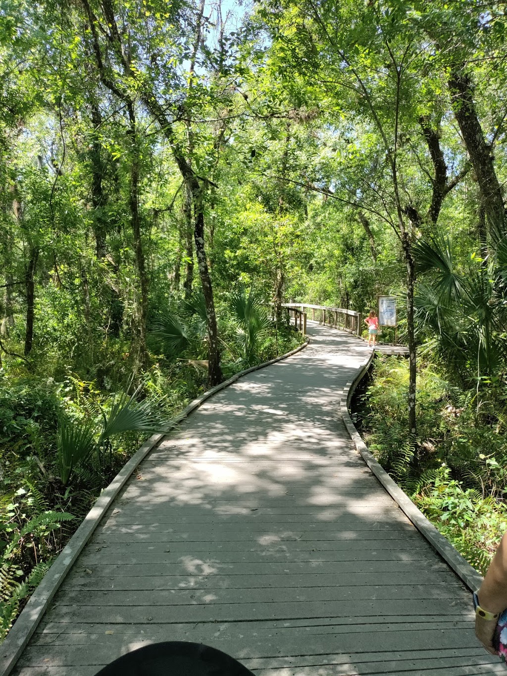 Brooker Creek Preserve & Environmental Education Center | 3940 Keystone Rd, Tarpon Springs, FL 34688, USA | Phone: (727) 453-6800