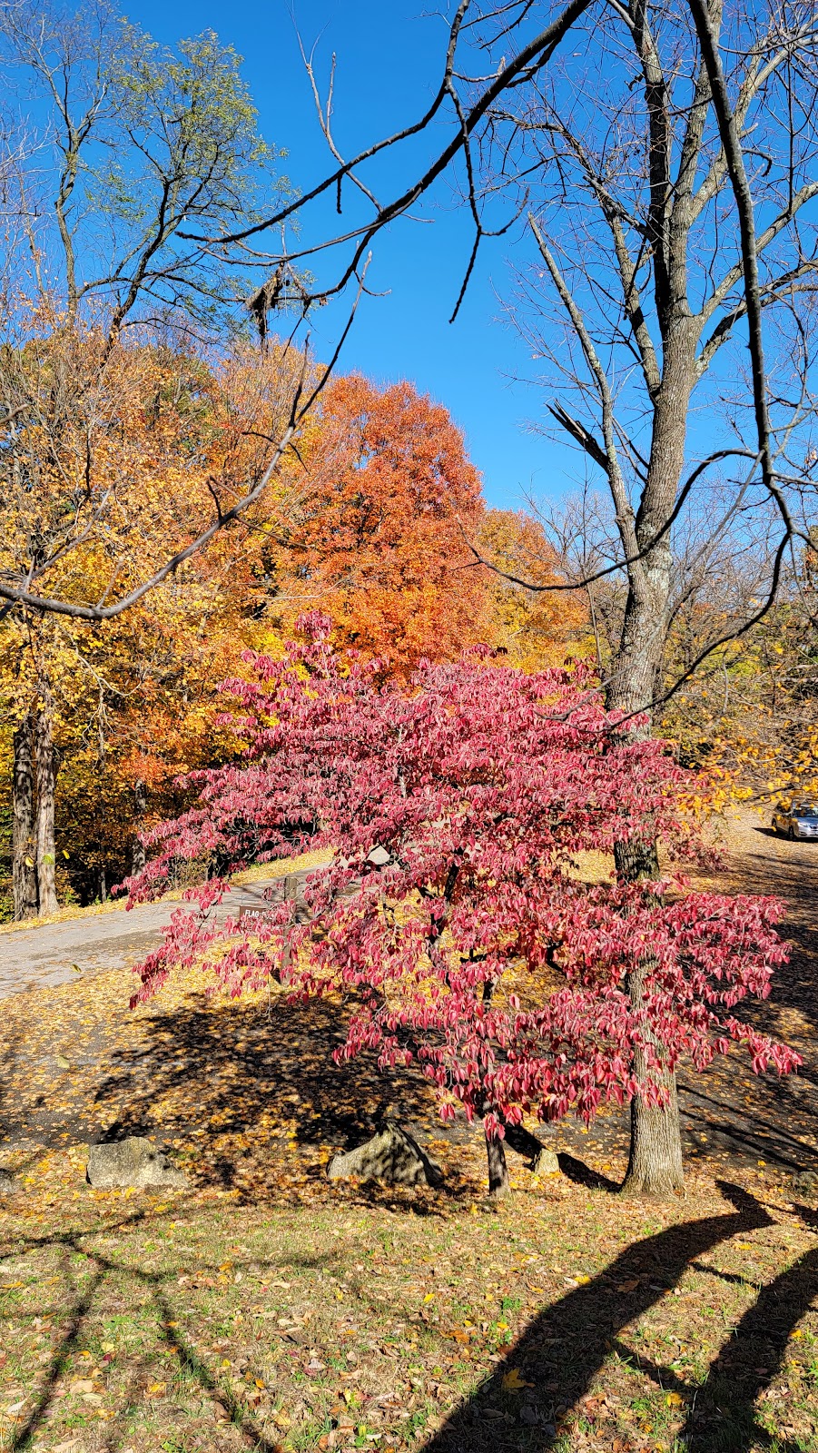 Scenic Overlook, Pere Marquette State Park | Grafton, IL 62037, USA | Phone: (618) 786-2331