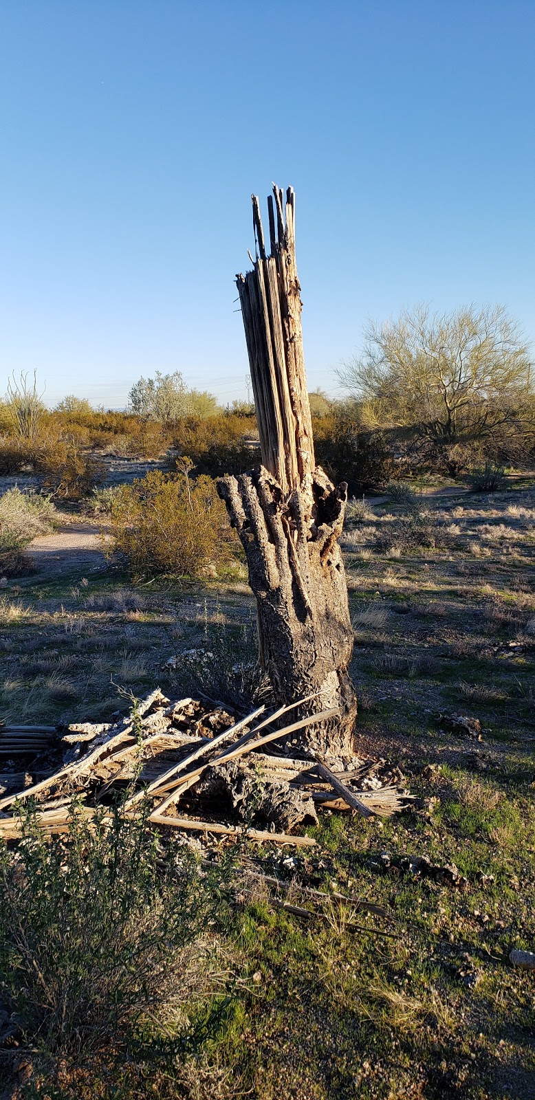 Pinal County Park West | Maricopa, AZ 85139, USA | Phone: (520) 866-6355