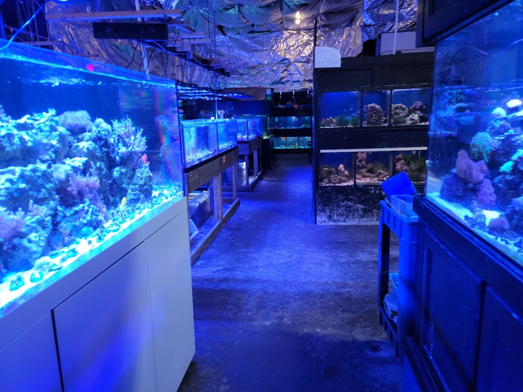 Aquatics Galore LLC | 515 W Funderburg Rd, Fairborn, OH 45324, USA | Phone: (937) 422-0478