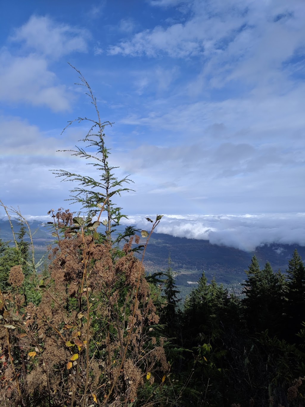 Mt. Walker Viewpoint | Mt Walker Lookout Rd, Brinnon, WA 98320, USA | Phone: (360) 956-2402