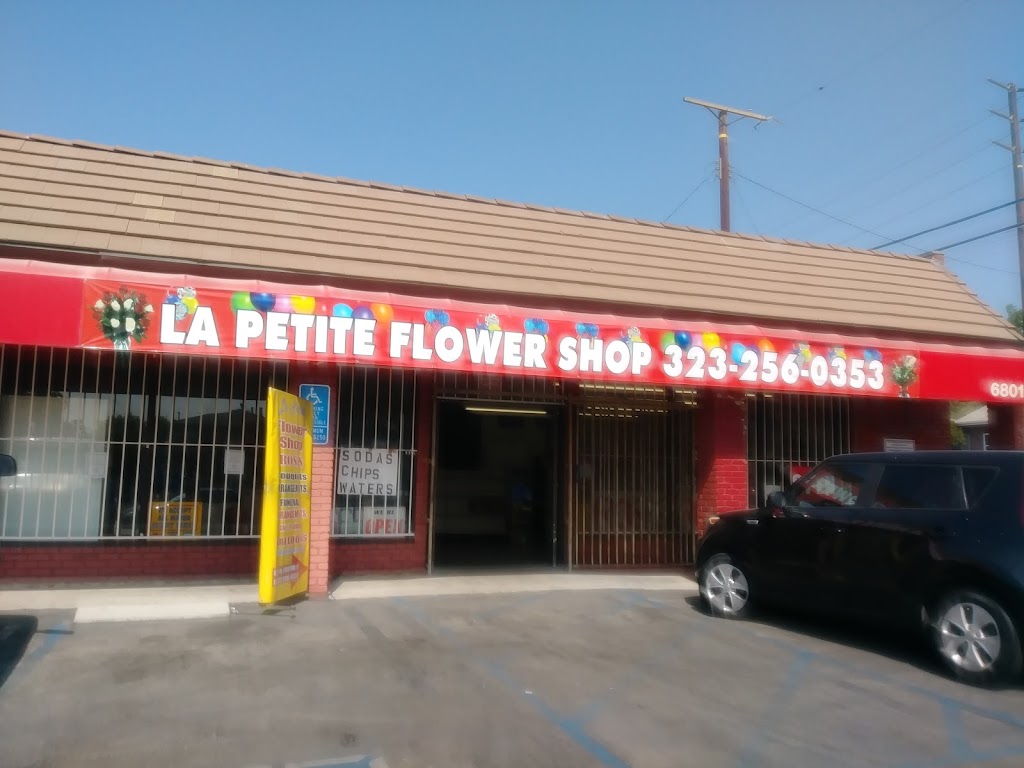 La Petite Flower Shop | 6801 N Figueroa St, Los Angeles, CA 90042, USA | Phone: (323) 256-0353