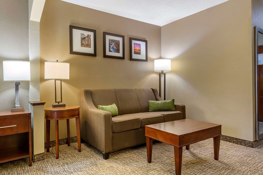 Comfort Inn Apex - Holly Springs | 1411 E Williams St, Apex, NC 27539, USA | Phone: (919) 387-4600