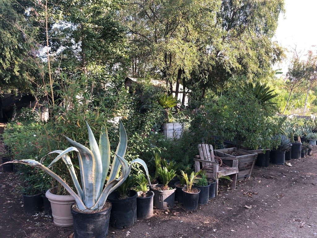 Jurupa Nursery | 32423 Yucaipa Blvd, Yucaipa, CA 92399, USA | Phone: (951) 733-3700