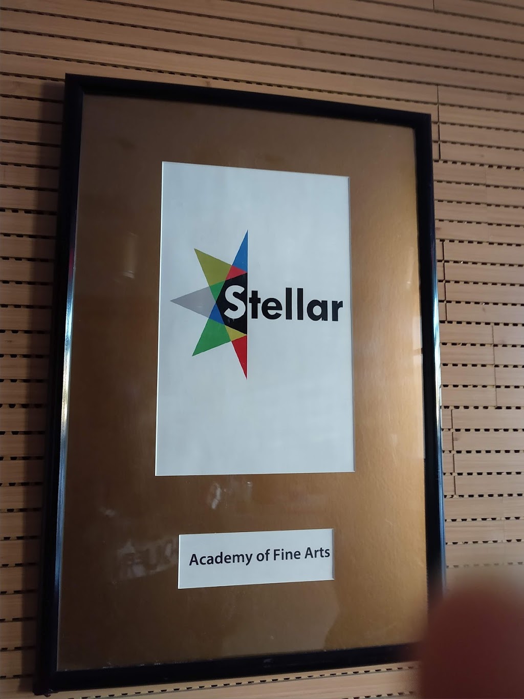 Stellar Academy of Fine Arts | 3321 Premier Dr suite a, Plano, TX 75023, USA | Phone: (214) 531-4833