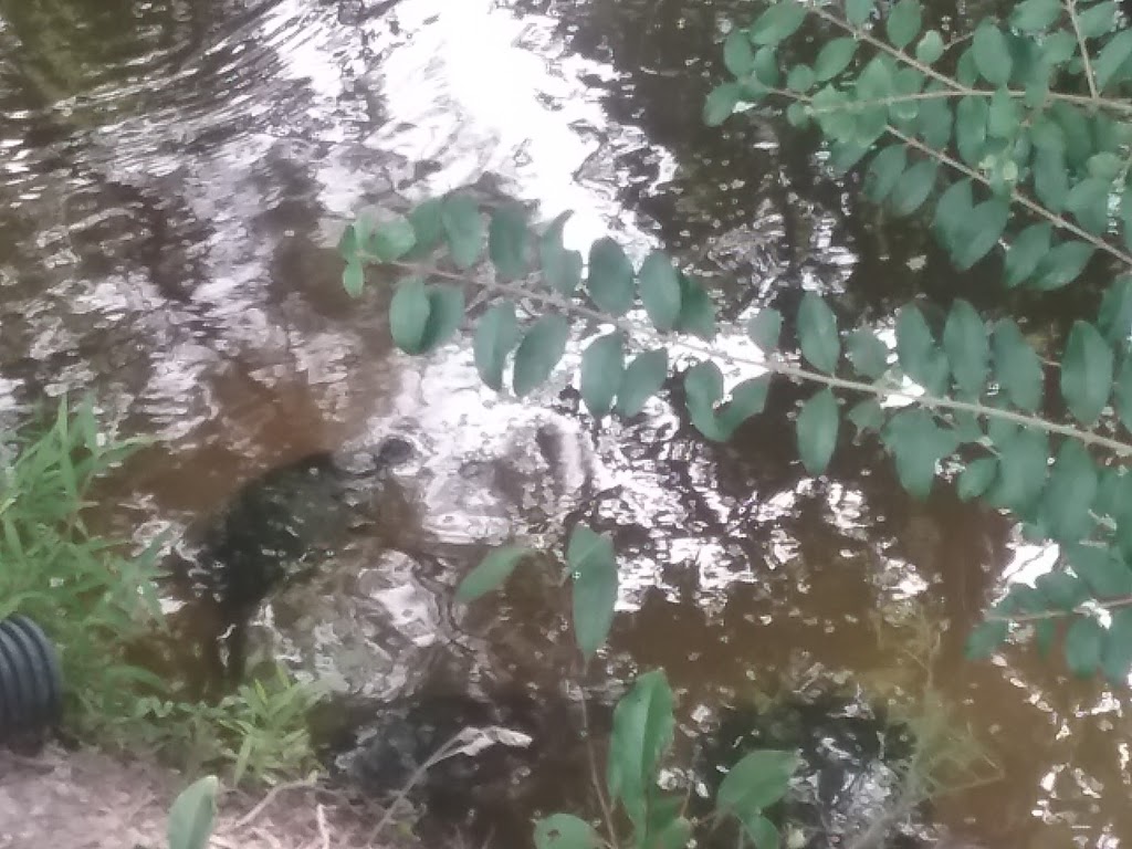 Home Run Signs | 5469 Albright Dr, Virginia Beach, VA 23464, USA | Phone: (757) 479-4494