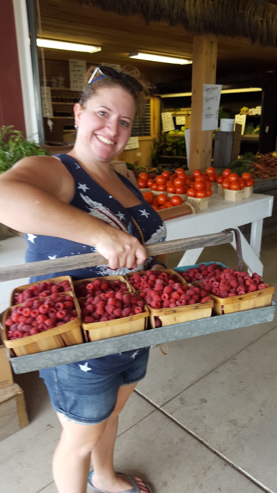 Gregs U-Pick Farm Market and CSA | 9270 Lapp Rd, Clarence Center, NY 14032, USA | Phone: (716) 741-4239