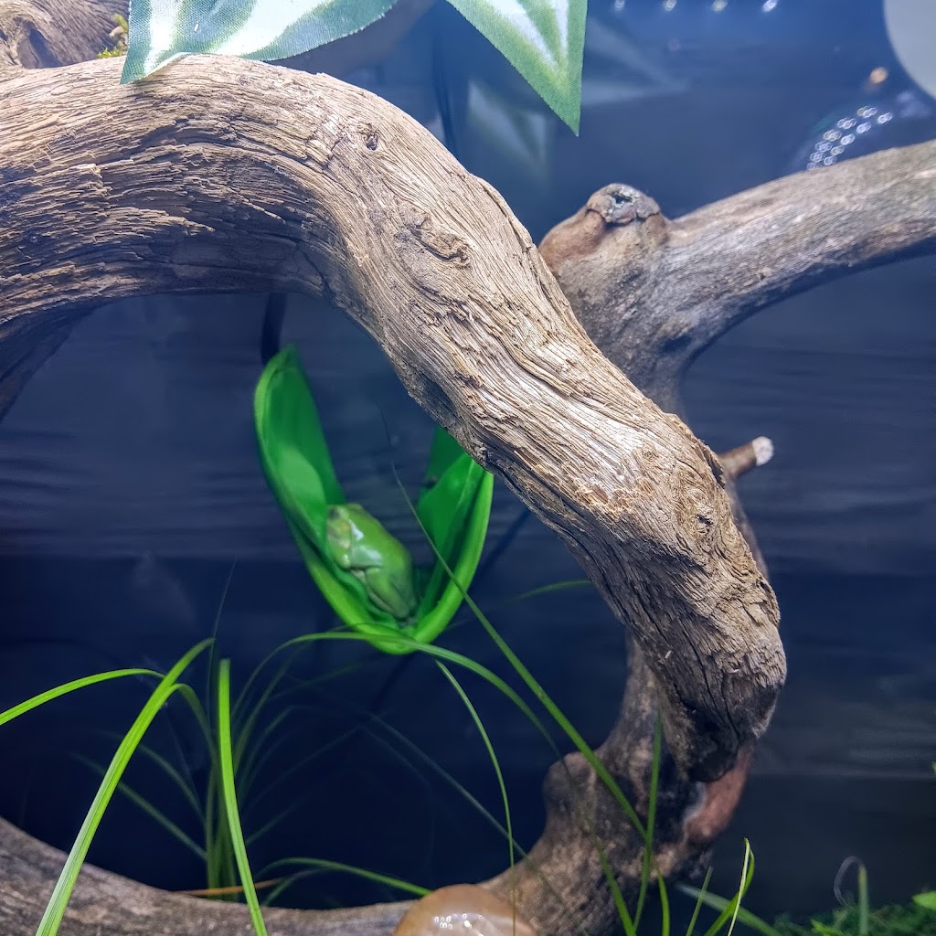 Critters Pet Shop | 7210 Lincoln Way E, Wooster, OH 44691, USA | Phone: (330) 669-7387