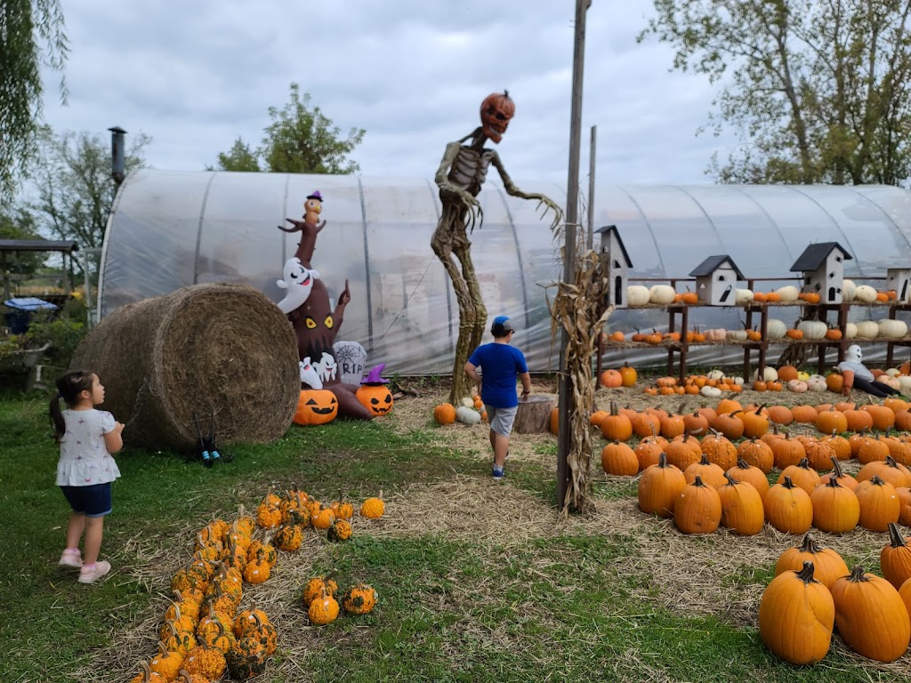 Bill & Gerry Kydds Farm Market | 3573 Saunders Settlement Rd, Sanborn, NY 14132, USA | Phone: (716) 731-5003