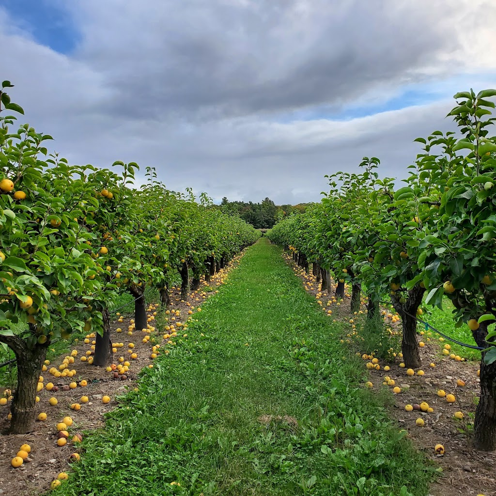 Belkin Family Lookout Farm - U-Pick Fruit, Dining & Market | 89 Pleasant St S, Natick, MA 01760, USA | Phone: (508) 745-3697