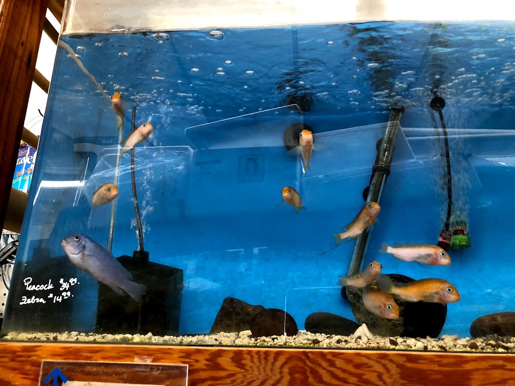 Fish Pond | 12459 Oxnard St, North Hollywood, CA 91606, USA | Phone: (818) 766-8343