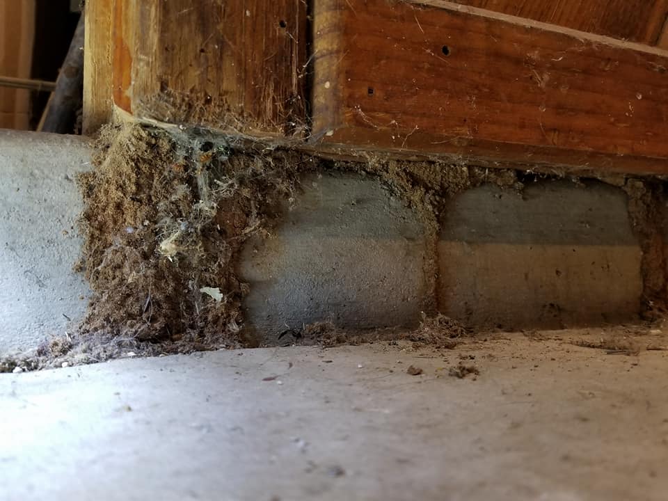 First Choice Termite & Pest | 1155 W Fern Dr, Tucson, AZ 85704, USA | Phone: (520) 744-7877