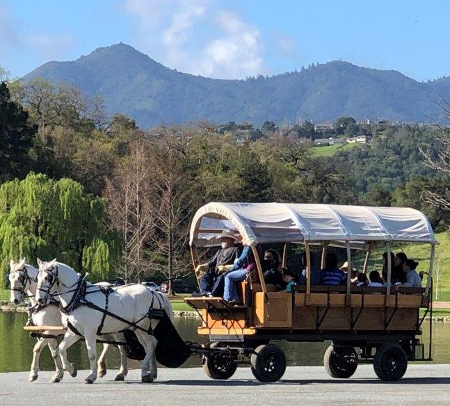 Indian Valley Carriage Company | 1924 Indian Valley Rd, Novato, CA 94947 | Phone: (415) 309-8618