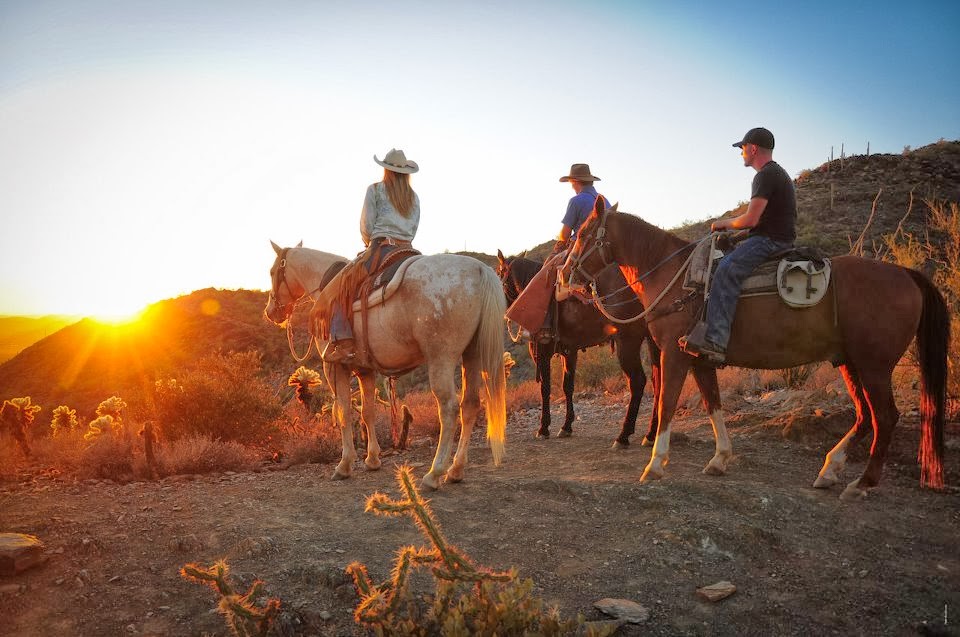 Cave Creek Trail Rides | 37019 N 32nd St, Cave Creek, AZ 85331, USA | Phone: (623) 742-6700