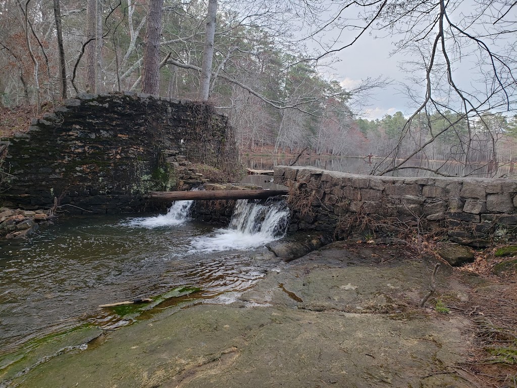 Davidson-Arabia Mountain Nature Preserve | 3787 Klondike Rd, Stonecrest, GA 30038, USA | Phone: (770) 492-5220