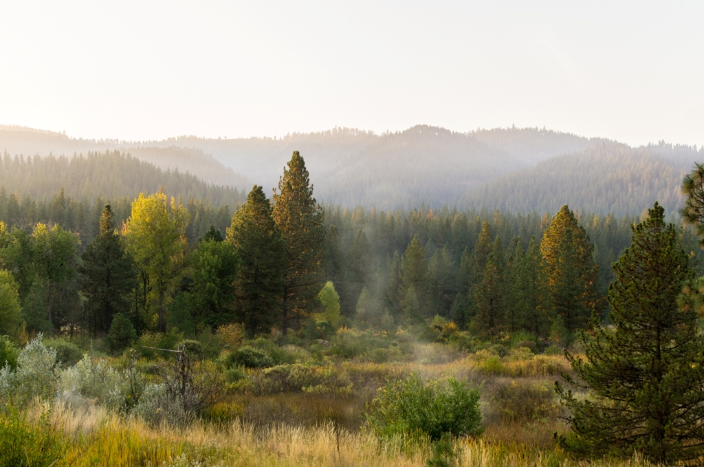 The Springs | 3742 ID-21, Idaho City, ID 83631, USA | Phone: (208) 392-9500