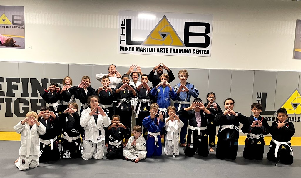 The MMA LAB | 2710 W Bell Rd #1150, Phoenix, AZ 85053, USA | Phone: (623) 792-8543