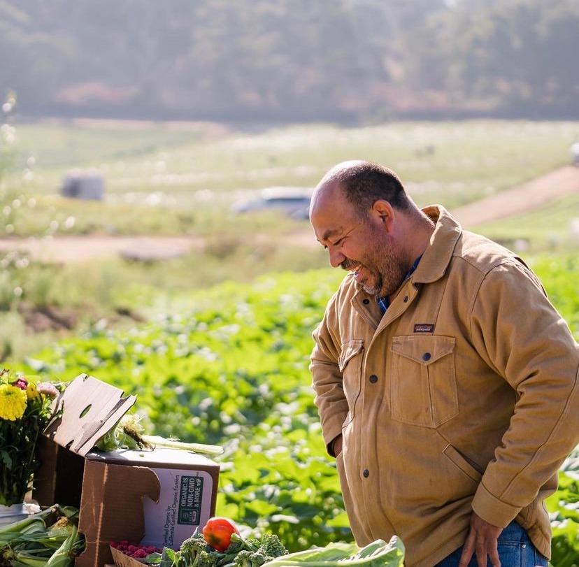 Natural Bridges Farm by Homeless Garden Project | Shaffer Rd, Santa Cruz, CA 95060, USA | Phone: (831) 426-3609