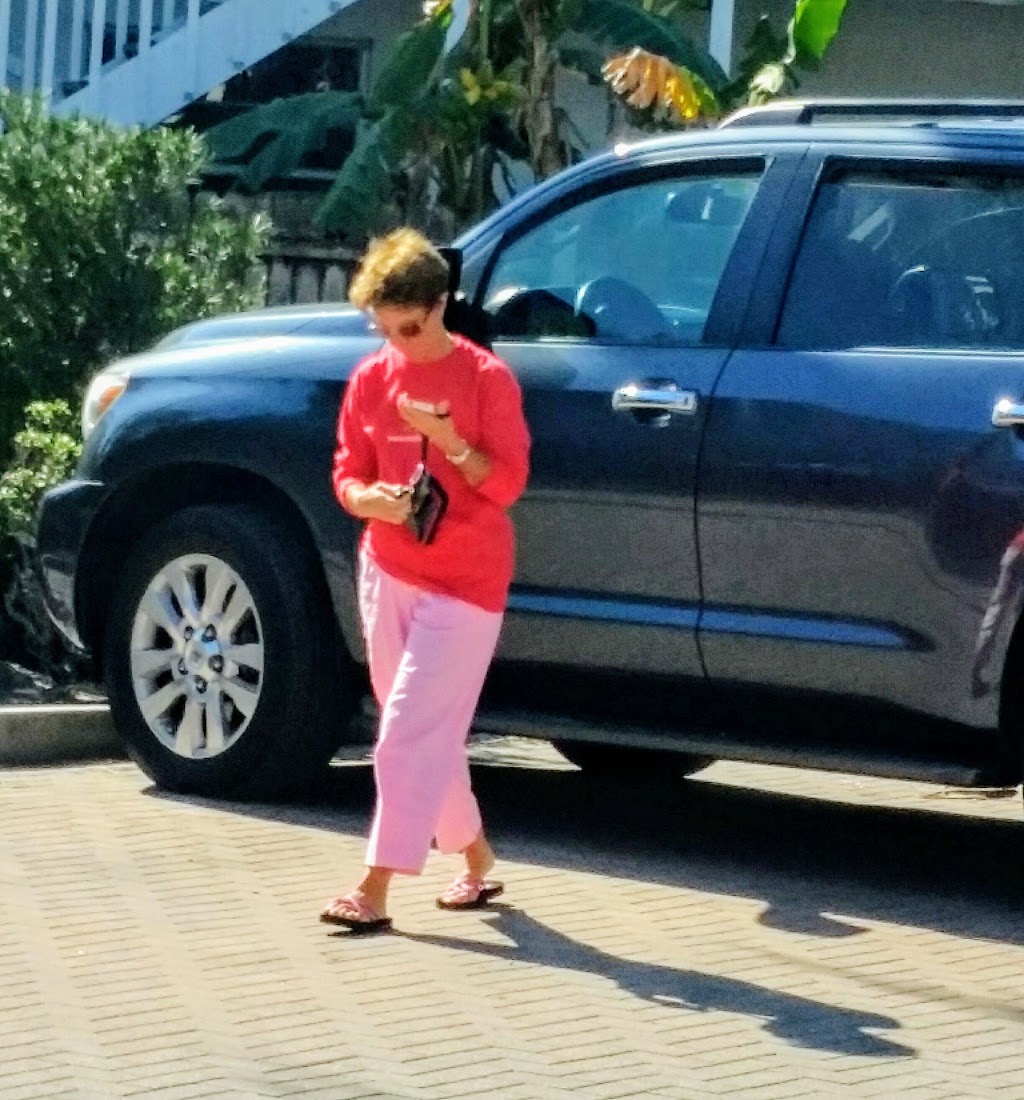 Island Fresh | 101 N Bay Blvd, Anna Maria, FL 34216, USA | Phone: (941) 779-0011