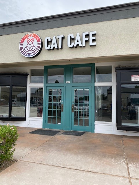 Kitty Pause Kitty Café | Pavilions Shopping Center, 1837 W Guadalupe Rd Suite 107, Mesa, AZ 85202, USA | Phone: (480) 450-1915