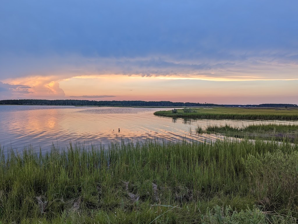 New Point Comfort Natural Area Preserve | New Point Comfort Natural Area Preserve, Port Haywood, VA 23138, USA | Phone: (434) 225-2303