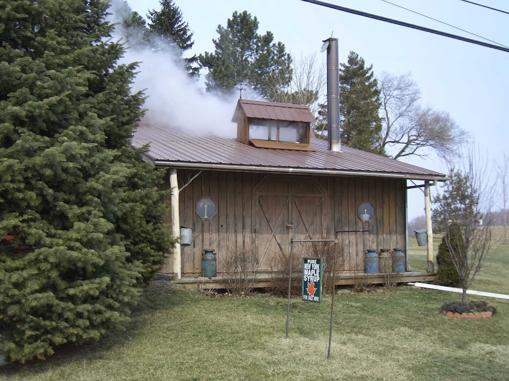 Drews Indian Acres Maple Farm | 2005 Broadway, Darien Center, NY 14040, USA | Phone: (585) 547-3557