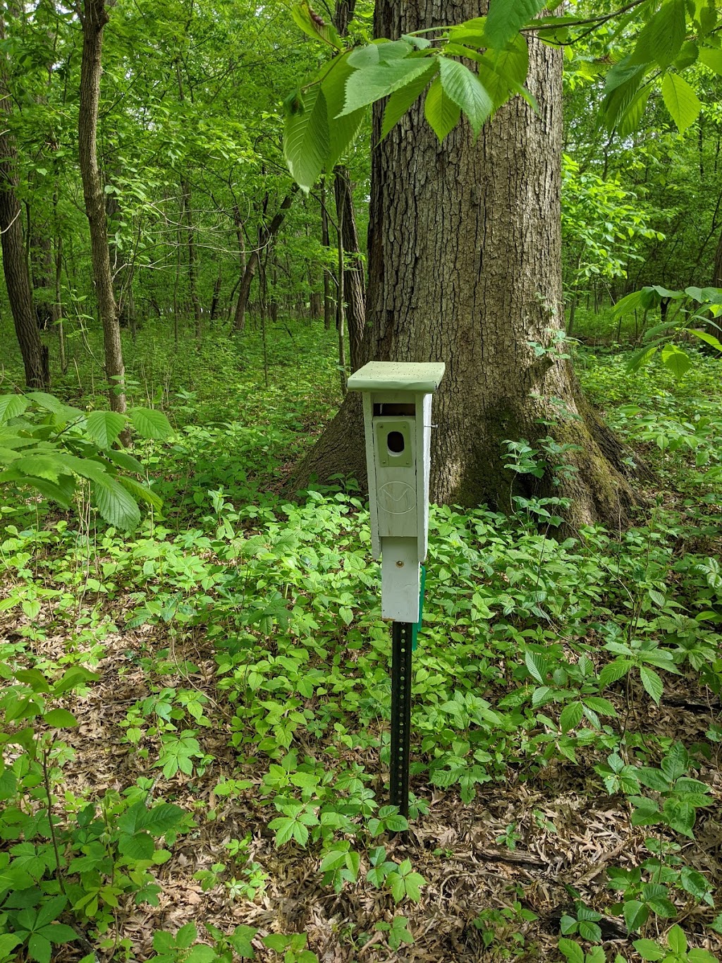 Julius J Knobeloch Woods Nature Preserve | 3018 Rentchler Rd, Belleville, IL 62221, USA | Phone: (618) 295-2877