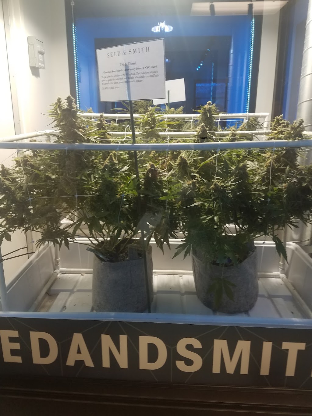 Seed & Smith Tours | 5070 N Oakland St, Denver, CO 80239, USA | Phone: (720) 506-2533