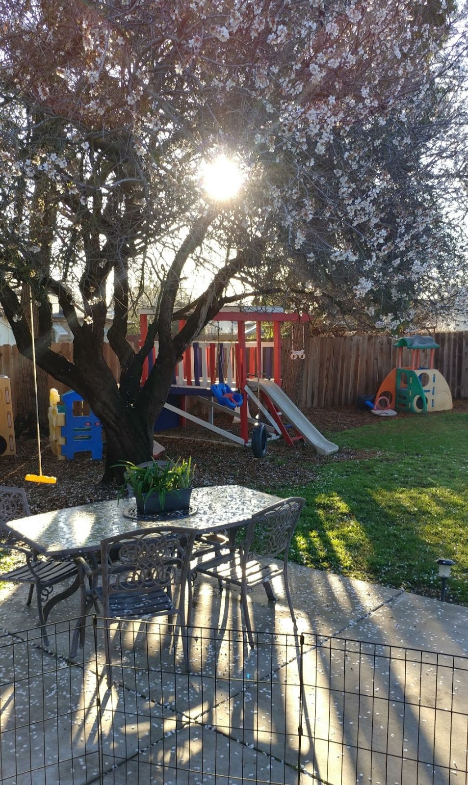 Kimball Place Daycare | 1482 Kimball Pl, Manteca, CA 95336 | Phone: (209) 825-8598