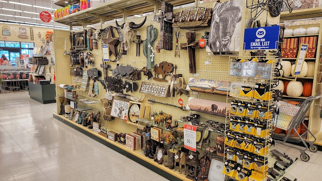 Hobby Lobby | 1717 Old Fort Pkwy, Murfreesboro, TN 37129, USA | Phone: (615) 217-4578