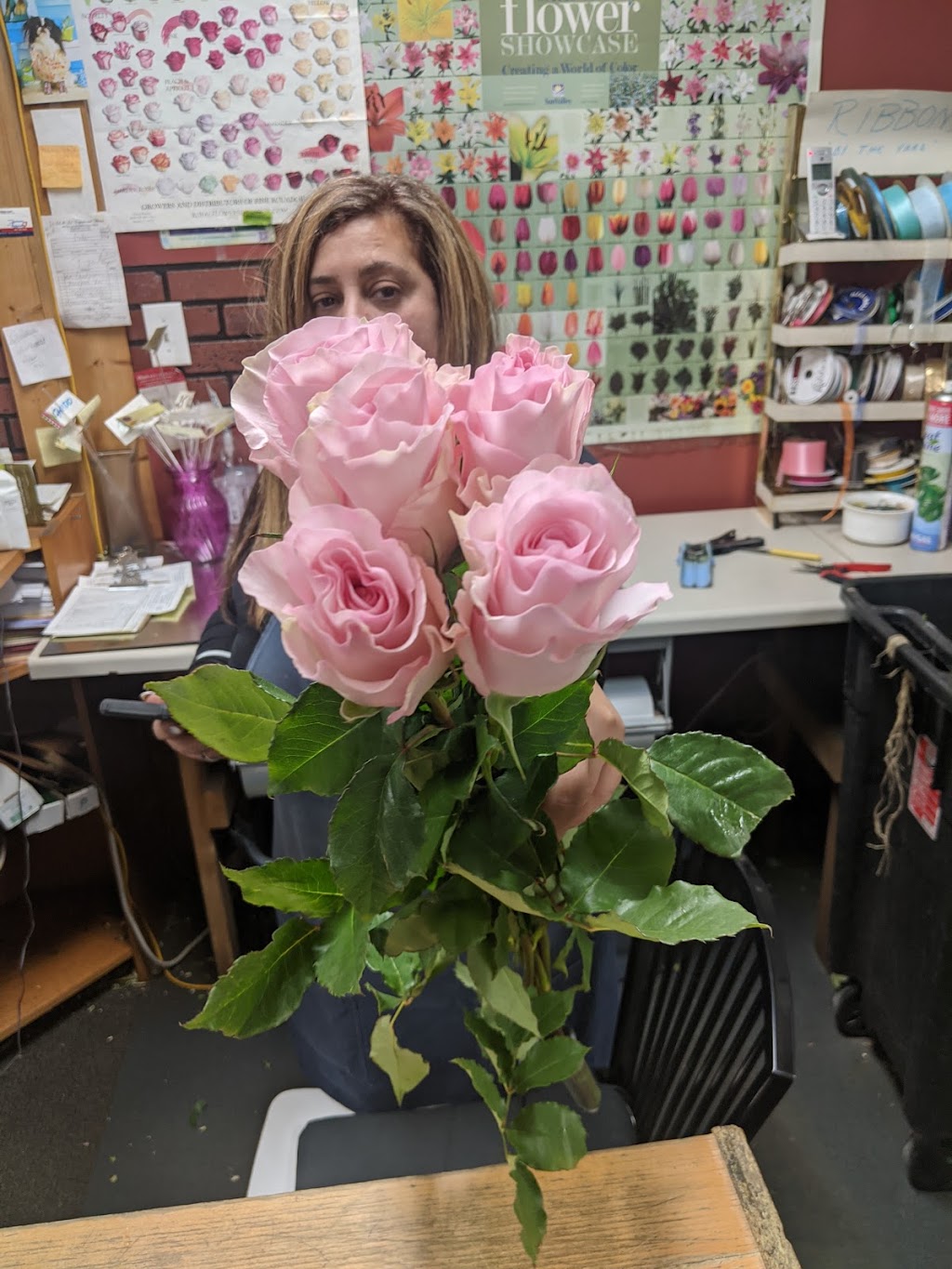 Al & Al Liquors | 400 W Dundee Rd, Buffalo Grove, IL 60089, USA | Phone: (847) 941-7500 Al & Al Liquors | 400 W Dundee Rd, Buffalo Grove, IL 60089, USA | Phone: (847) 941-7500