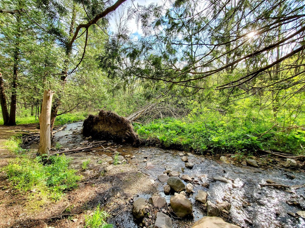 Parfreys Glen State Natural Area | 1377 County Rd DL, Merrimac, WI 53561, USA | Phone: (608) 266-2621