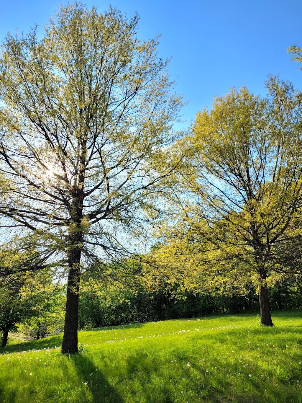 Bush Lake Park - Picnic Shelter #3 | 9098 E Bush Lake Rd, Bloomington, MN 55438, USA | Phone: (952) 563-8877