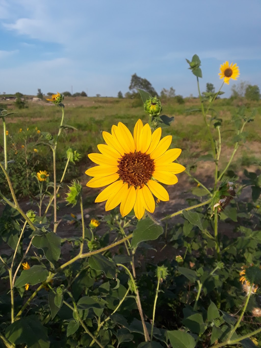 Ciscos Country Oasis RV Park Inc. | 8620 County Rd 505, Alvarado, TX 76009, USA | Phone: (512) 999-3290