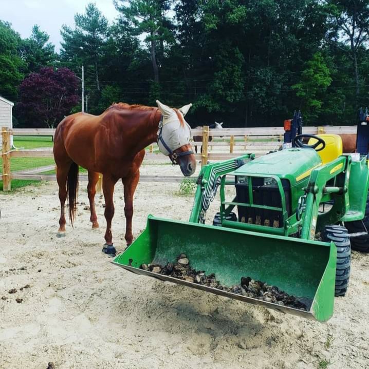 Iron River Stables | 46 Murdock St, Middleborough, MA 02346, USA | Phone: (508) 215-6890