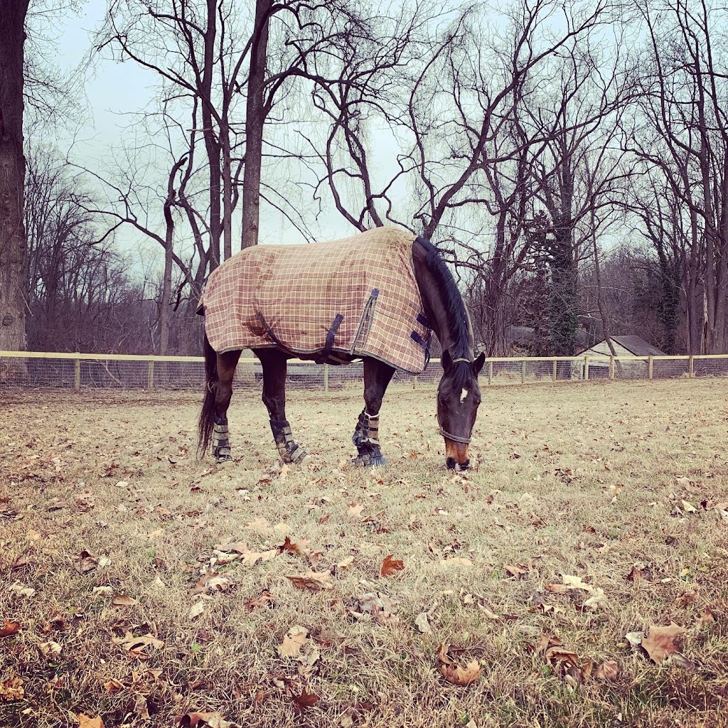 Top Flight Stables | 1608 Wildlife Dr, Chester Springs, PA 19425, USA | Phone: (610) 563-8019
