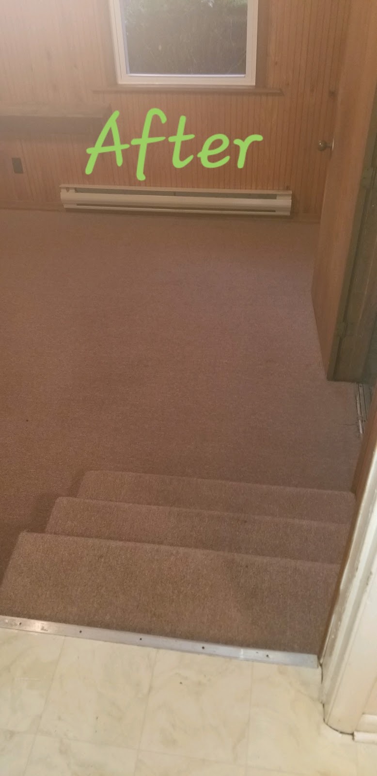 Extremely Clean Carpets & Services | 121 Ivy Home Rd, Hampton, VA 23669, USA | Phone: (757) 969-0723