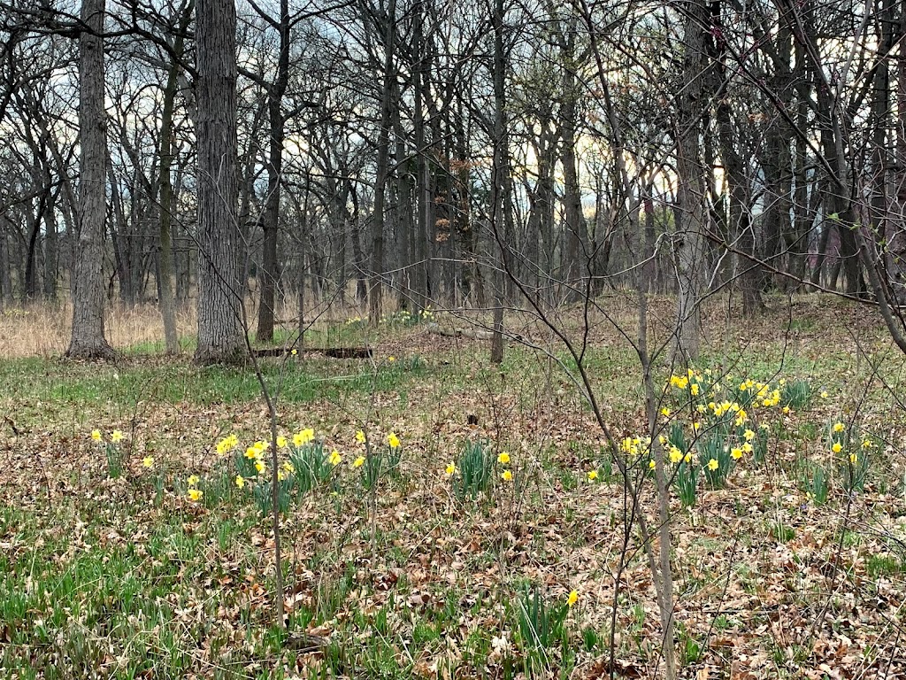 Lyman Woods & William F. Sherman, Jr. Interpretive Center | 901 31st St, Downers Grove, IL 60515, USA | Phone: (630) 963-9388