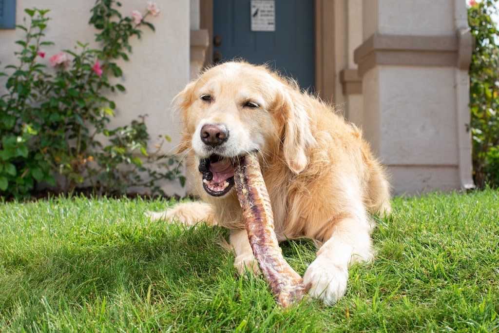 Natural Cravings Pet Treats | 1100 NW 7th St, Homestead, FL 33030, USA | Phone: (786) 410-8099