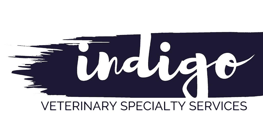 Indigo Veterinary Specialists | 20811 N Cave Creek Rd Suite 105, Phoenix, AZ 85024, USA | Phone: (602) 684-1520