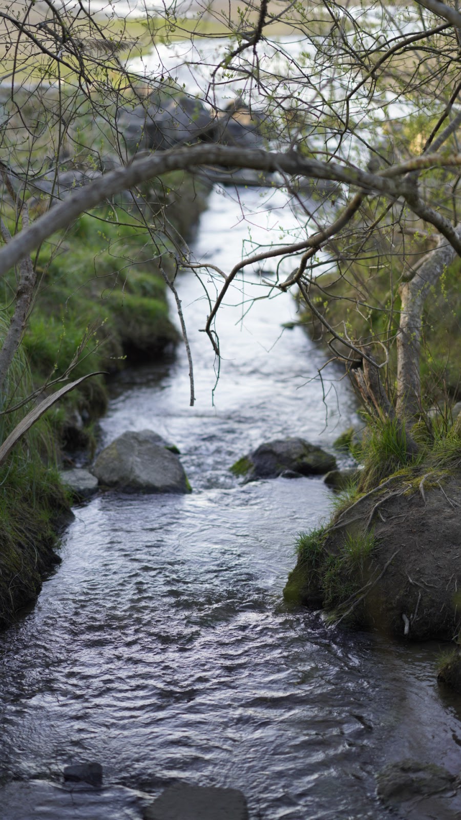 Dash Point State Park | 5700 SW Dash Point Rd, Federal Way, WA 98023, USA | Phone: (253) 661-4955