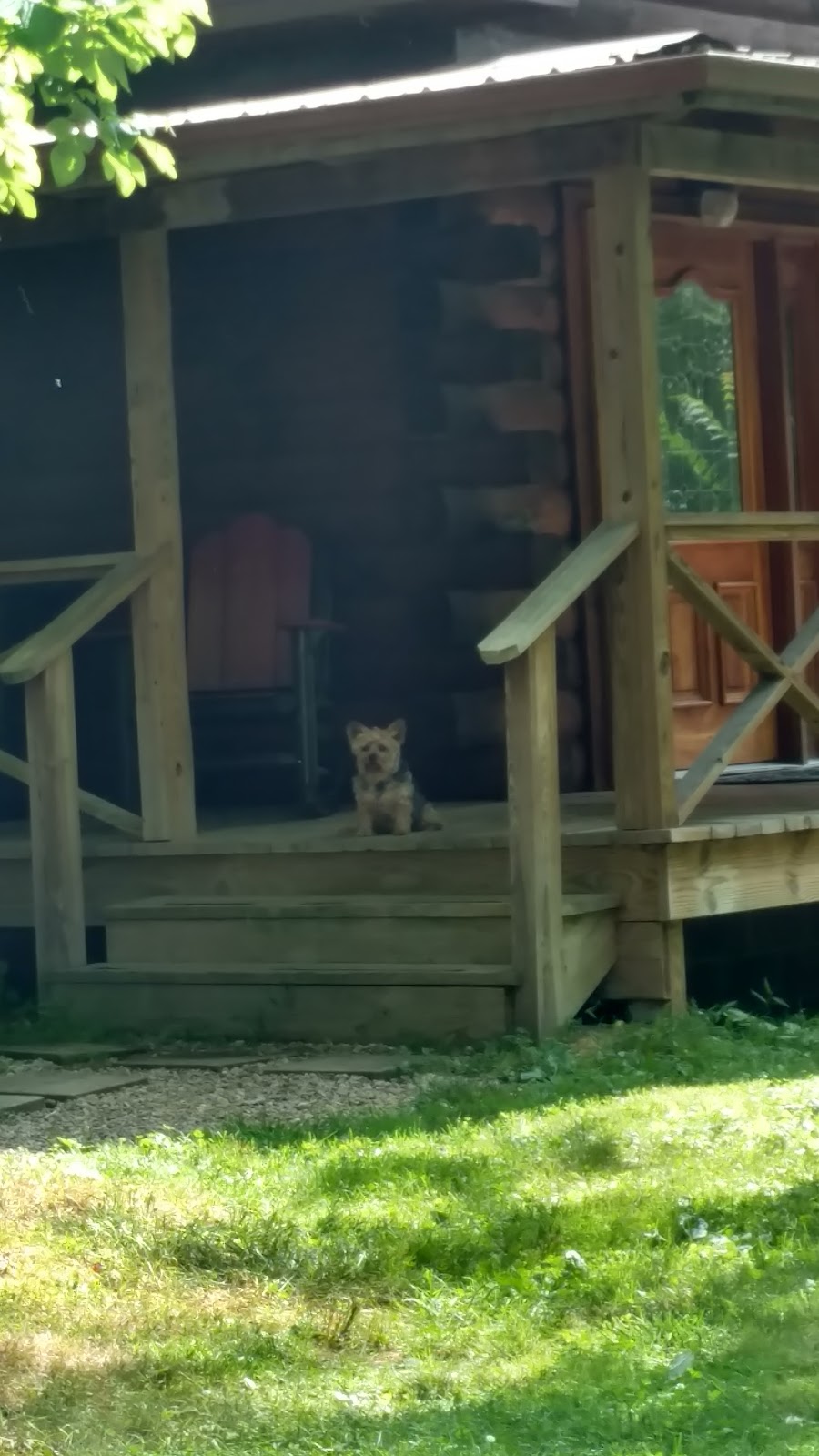 One Cabin | 28600 Blackjack Rd, Logan, OH 43138, USA | Phone: (740) 380-6017