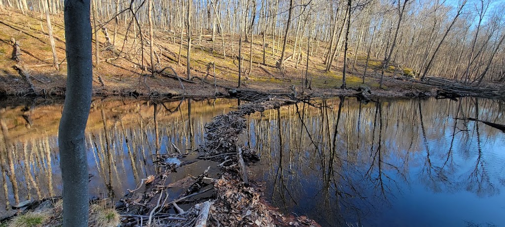 Cascade Lake Park | Cascade Lake Rd, Warwick, NY 10990, USA | Phone: (845) 986-1124