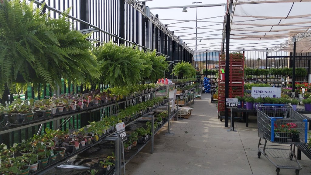 Walmart Garden Center | 10048 Charlotte Hwy, Indian Land, SC 29707, USA | Phone: (803) 802-6666