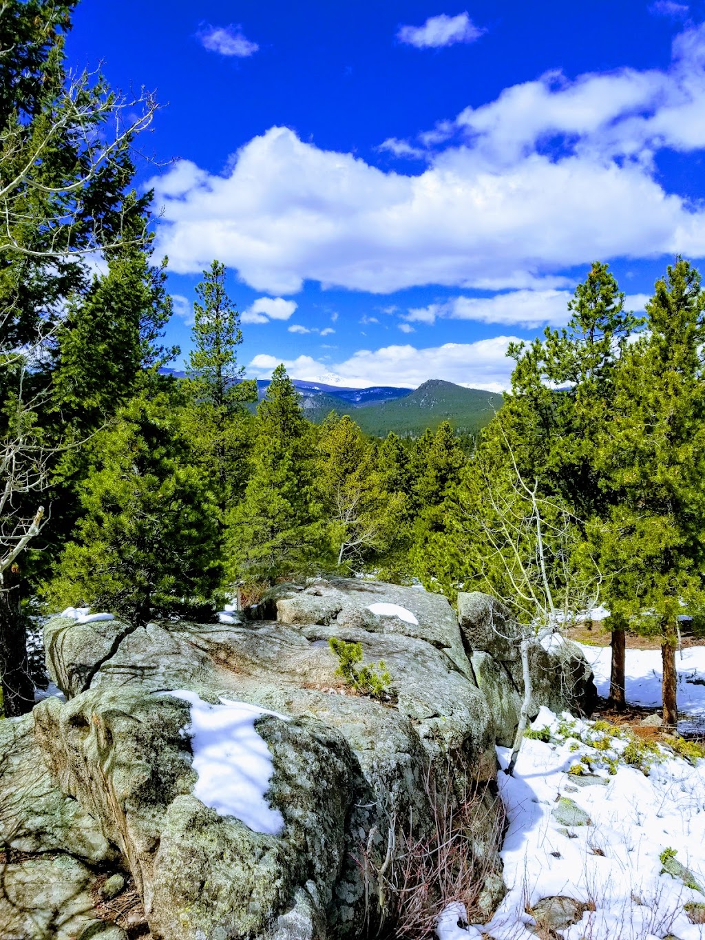 Blue Sky Mountain Ranch | 646 Emory Rd, Black Hawk, CO 80422, USA | Phone: (303) 642-7656