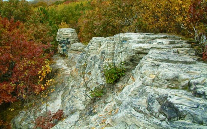 Chimney Rock Scientific and Natural Area (SNA) | Joan Ave, Hastings, MN 55033, USA | Phone: (651) 259-5800