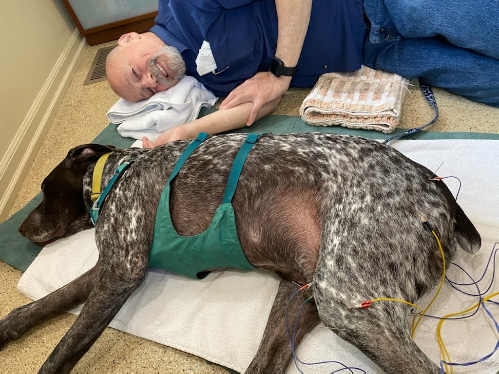 Comfort Care Veterinary Services | 41740 Michigan Ave, Canton Township, MI 48188, USA | Phone: (248) 429-9866