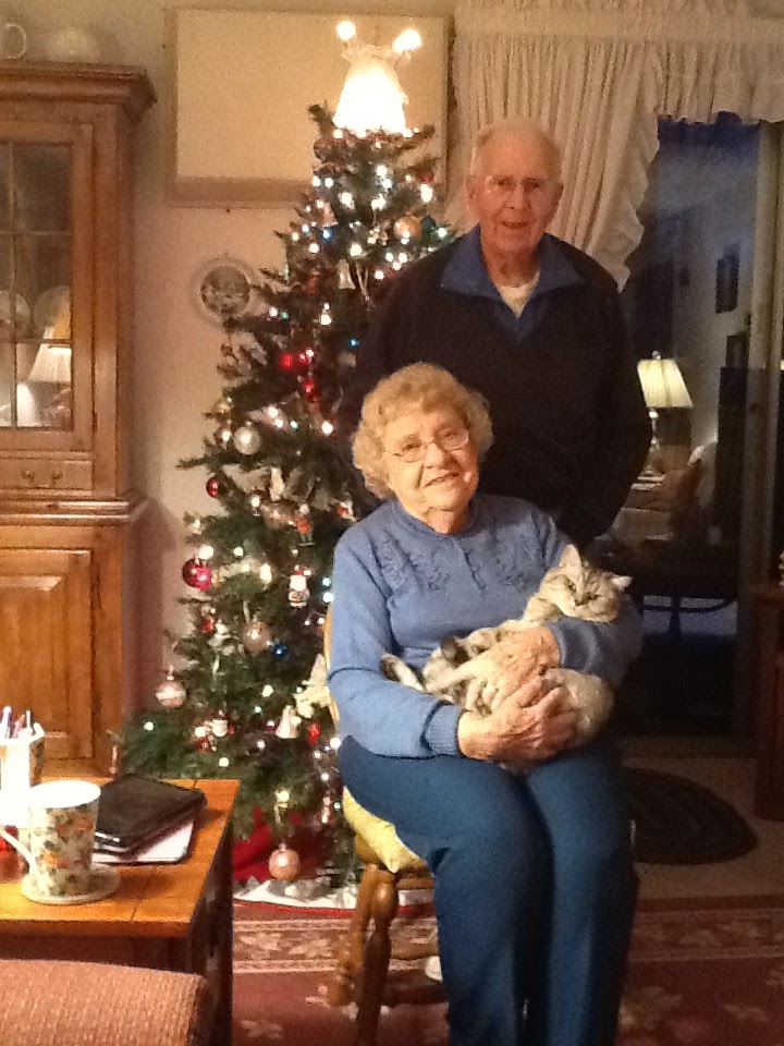 Adagio Manor Assisted Living | 5230 Circle Down, Golden Valley, Minneapolis, MN 55416, USA | Phone: (612) 964-8376