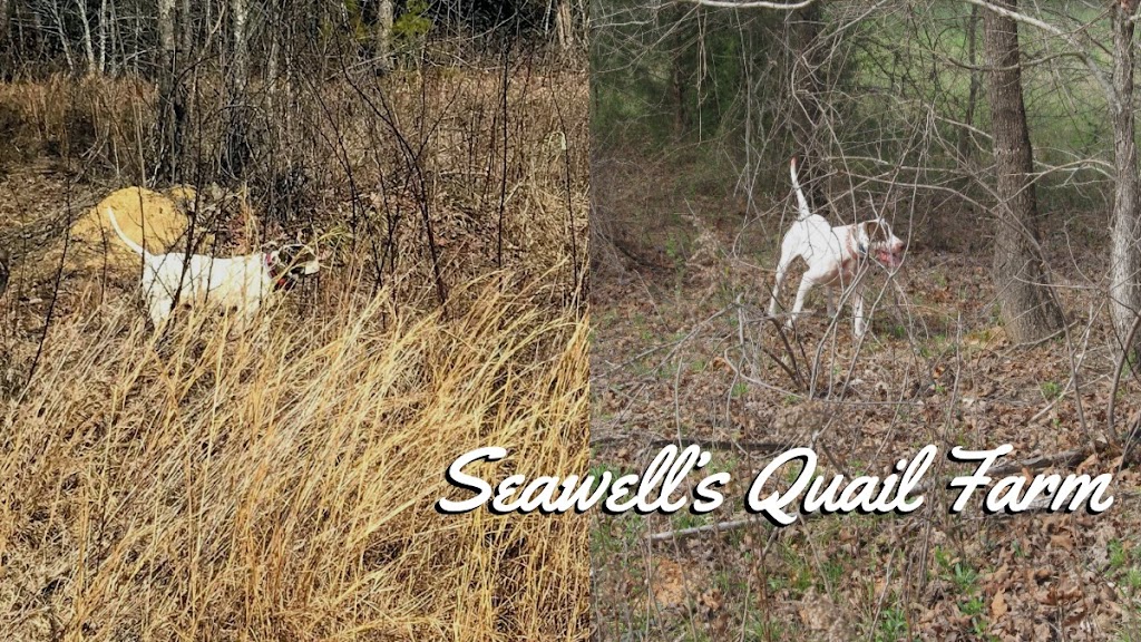 Seawells Quail Farm, LLC | 676 Seawell Rd, Carthage, NC 28327, USA | Phone: (910) 783-4193