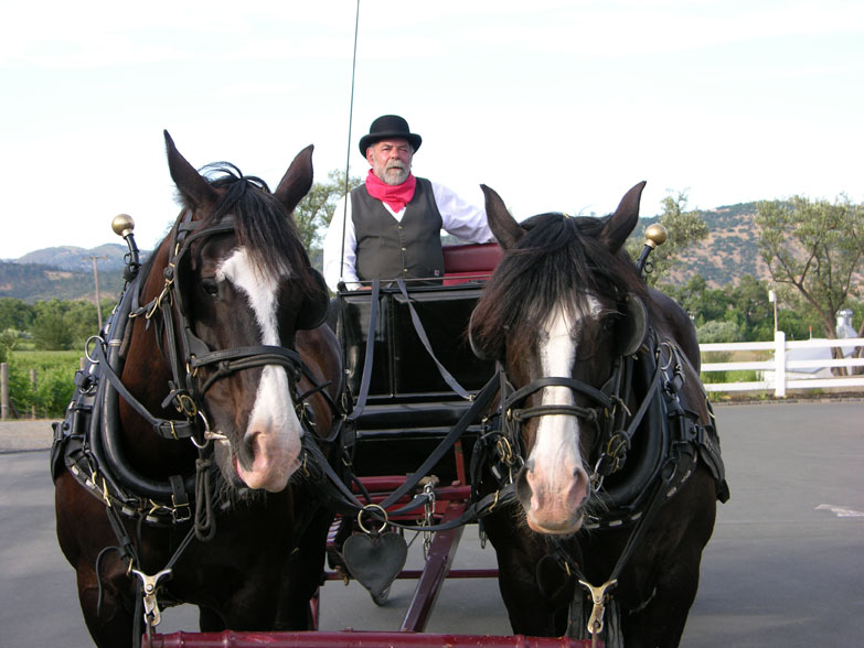 Indian Valley Carriage Company | 1924 Indian Valley Rd, Novato, CA 94947, USA | Phone: (415) 309-8618